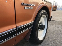 1970 Chevrolet C20 for sale in Michigan (ID-124829)