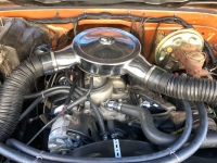 1970 Chevrolet C20 for sale in Michigan (ID-124829)