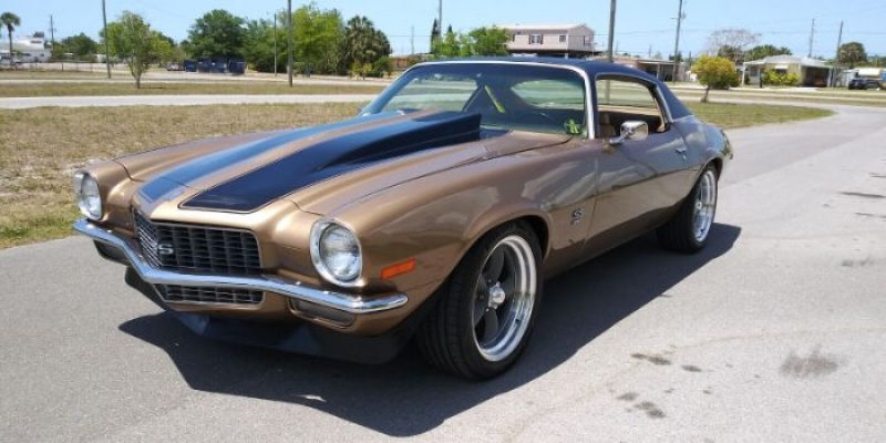 1970 Chevrolet Camaro for sale in Michigan (ID-116151)