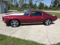 1970 Chevrolet Camaro for sale in Michigan (ID-116247)