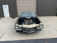 1970 Chevrolet Camaro for sale in Michigan (ID-118301)