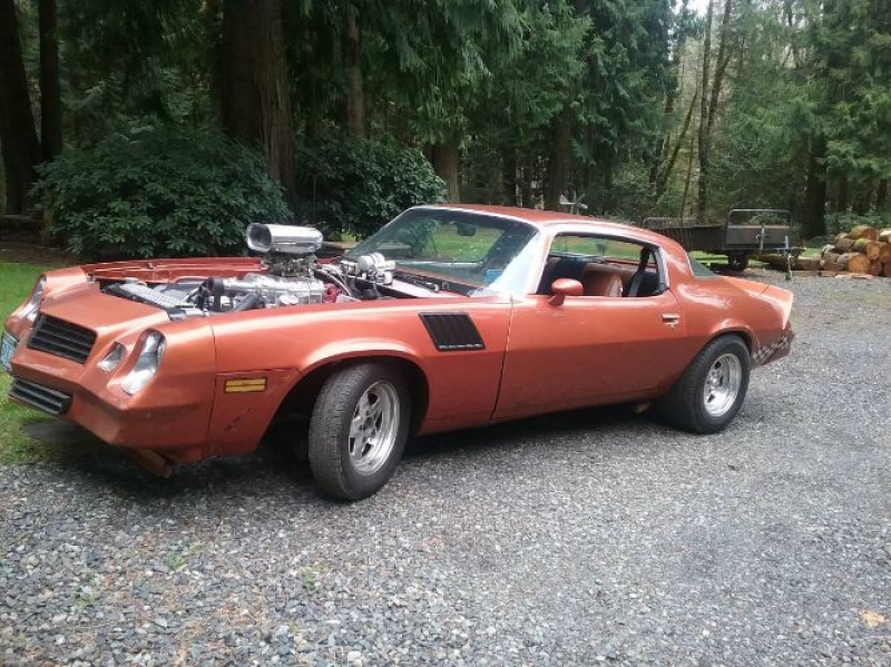 1970 Chevrolet Camaro for sale in Michigan (ID-121543)