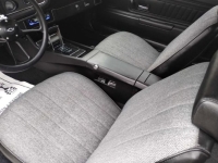 1970 Chevrolet Camaro for sale in Michigan (ID-161571)