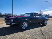 1970 Chevrolet Camaro for sale in Michigan (ID-161681)