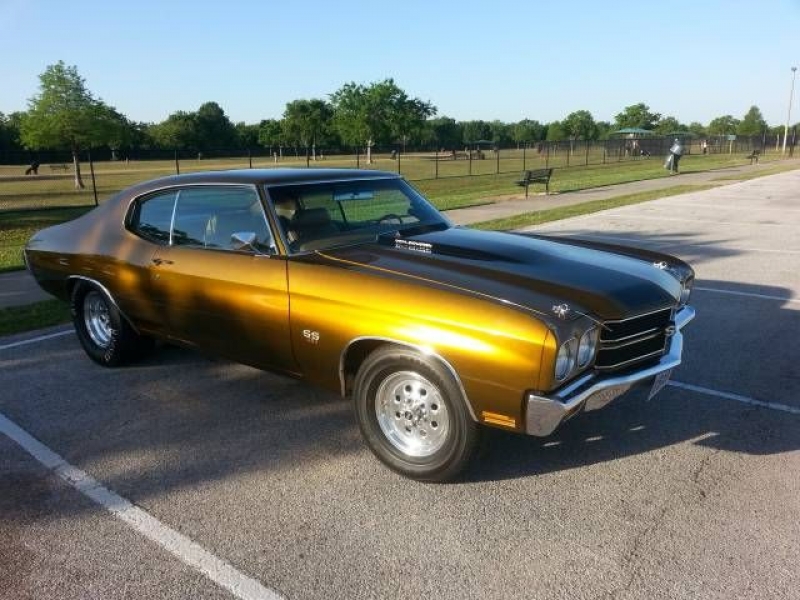 1970 Chevrolet Chevelle for sale in Michigan (ID-112843)