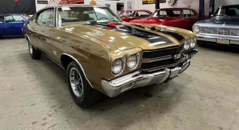 1970 Chevrolet Chevelle for sale in Michigan (ID-113339)