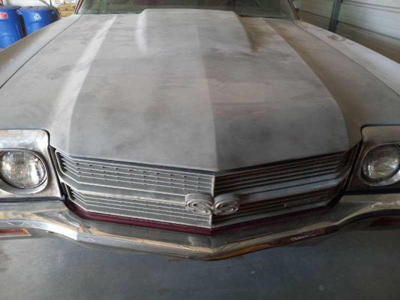 1970 Chevrolet Chevelle for sale in Michigan (ID-113691)