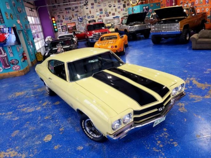 1970 Chevrolet Chevelle for sale in Michigan (ID-114229)