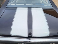 1970 Chevrolet Chevelle for sale in Michigan (ID-117054)