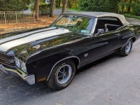 1970 Chevrolet Chevelle for sale in Riverhead, New York (ID-118830)