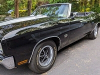 1970 Chevrolet Chevelle for sale in Riverhead, New York (ID-118830)