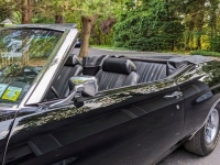 1970 Chevrolet Chevelle for sale in Riverhead, New York (ID-118830)