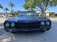 1970 Chevrolet Chevelle for sale in Michigan (ID-119034)