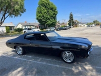 1970 Chevrolet Chevelle for sale in Michigan (ID-119034)