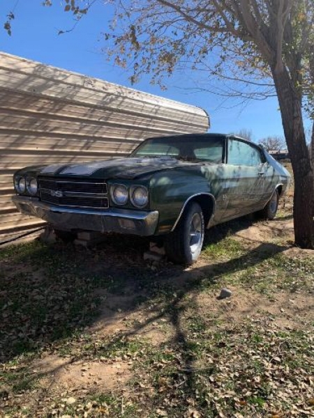 1970 Chevrolet Chevelle for sale in Michigan (ID-119542)