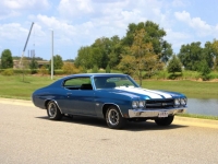 1970 Chevrolet Chevelle for sale in Addison, Illinois (ID-119952)