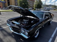 1970 Chevrolet Chevelle for sale in Addison, Illinois (ID-120641)