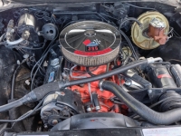 1970 Chevrolet Chevelle for sale (ID-124431)