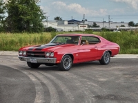 1970 Chevrolet Chevelle for sale (ID-124433)