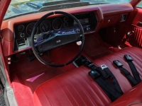 1970 Chevrolet Chevelle for sale (ID-124435)