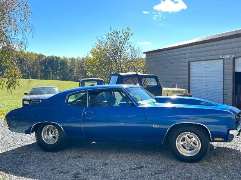 1970 Chevrolet Chevelle for sale in Michigan (ID-124531) 1970 Chevrolet Chevelle for sale in Michigan (ID-124531)