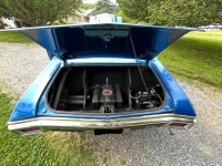 1970 Chevrolet Chevelle for sale in Michigan (ID-124531)