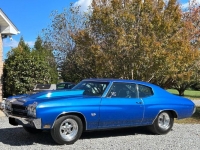 1970 Chevrolet Chevelle for sale in Michigan (ID-124531)