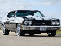 1970 Chevrolet Chevelle for sale (ID-125123)