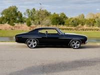 1970 Chevrolet Chevelle for sale (ID-125123)