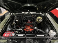 1970 Chevrolet Chevelle for sale in Michigan (ID-125491)