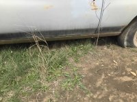 1970 Chevrolet Chevelle for sale in Midlothian, Texas (ID-125939)