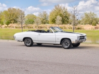 1970 Chevrolet Chevelle for sale (ID-127334)