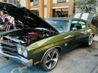 1970 Chevrolet Chevelle for sale in Addison, Illinois (ID-127675)
