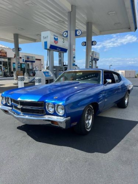 1970 Chevrolet Chevelle for sale in Michigan (ID-128264)