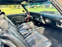 1970 Chevrolet Chevelle for sale in Michigan (ID-130724)