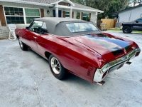 1970 Chevrolet Chevelle for sale in Michigan (ID-130724)