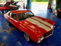 1970 Chevrolet Chevelle for sale in Michigan (ID-131400)