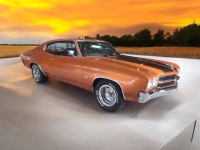 1970 Chevrolet Chevelle for sale in Addison, Illinois (ID-131470)