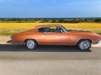 1970 Chevrolet Chevelle for sale in Addison, Illinois (ID-131470)