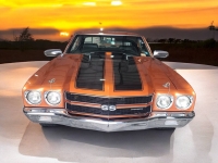 1970 Chevrolet Chevelle for sale in Addison, Illinois (ID-131470)