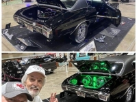 1970 Chevrolet Chevelle for sale in Michigan (ID-132719)