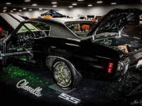 1970 Chevrolet Chevelle for sale in Michigan (ID-132719)