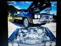 1970 Chevrolet Chevelle for sale in Michigan (ID-132719)