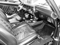 1970 Chevrolet Chevelle for sale in Michigan (ID-132719)