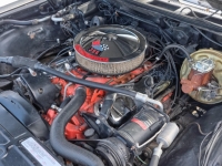 1970 Chevrolet Chevelle for sale (ID-127337)