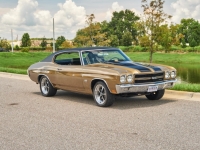 1970 Chevrolet Chevelle for sale (ID-128155)