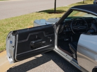 1970 Chevrolet Chevelle for sale (ID-128153)