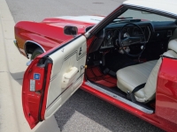 1970 Chevrolet Chevelle for sale (ID-124430)