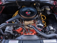 1970 Chevrolet Chevelle for sale (ID-124430)