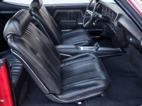 1970 Chevrolet Chevelle for sale (ID-124432)